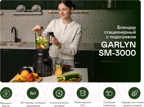 Изображение товара Блендер стационарный Garlyn SM-3000