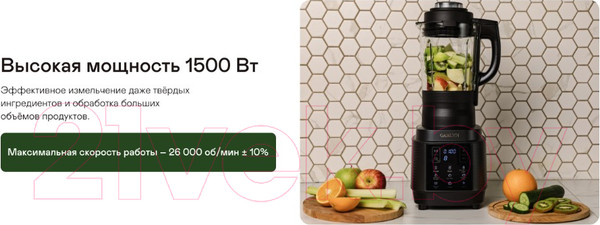 Изображение товара Блендер стационарный Garlyn SM-3000