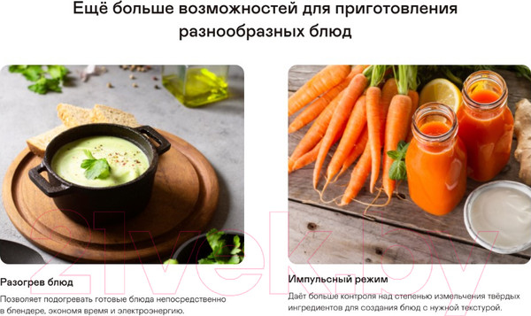 Изображение товара Блендер стационарный Garlyn SM-3000