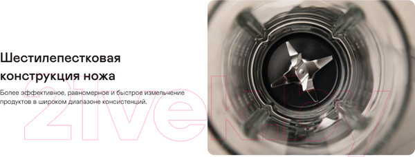 Изображение товара Блендер стационарный Garlyn SM-3000