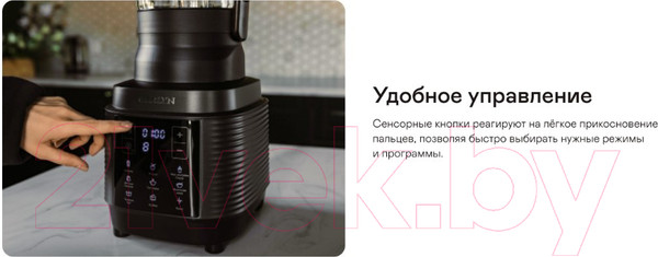 Изображение товара Блендер стационарный Garlyn SM-3000