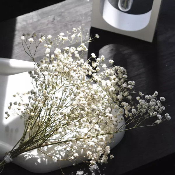 Изображение товара Тумба Dipriz Эдгар / Д.50158 (черный дуб)