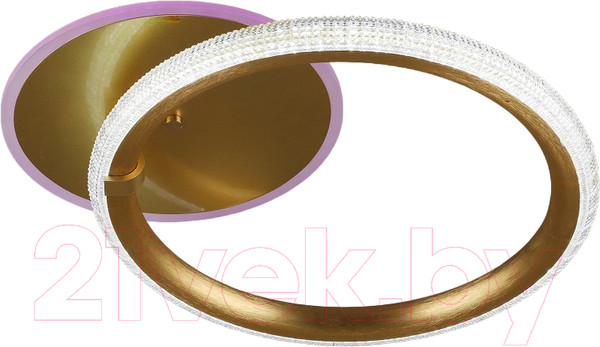 Изображение товара Потолочный светильник Aitin-Pro S2135/1 RGB