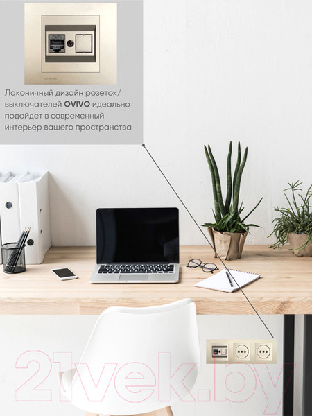 Изображение товара Розетка Ovivo 600-000313-229 (антрацит)