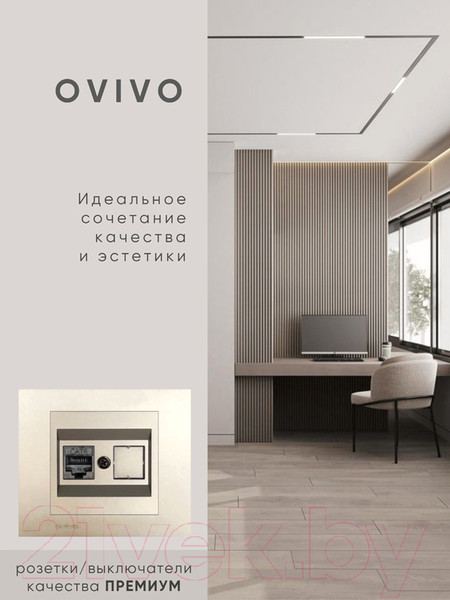Изображение товара Розетка Ovivo 600-000313-229 (антрацит)