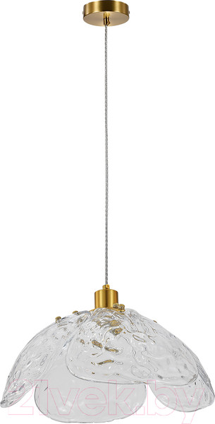 Изображение товара Потолочный светильник Indigo Light Amore V000519