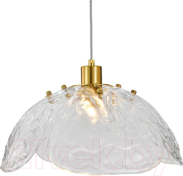 Изображение товара Потолочный светильник Indigo Light Amore V000519