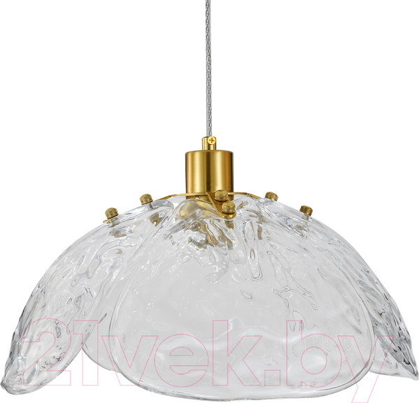 Изображение товара Потолочный светильник Indigo Light Amore V000519