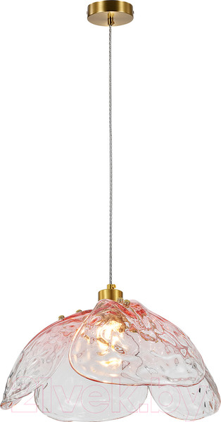 Изображение товара Потолочный светильник Indigo Light Amore V000520