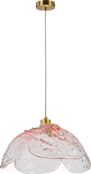 Изображение товара Потолочный светильник Indigo Light Amore V000520