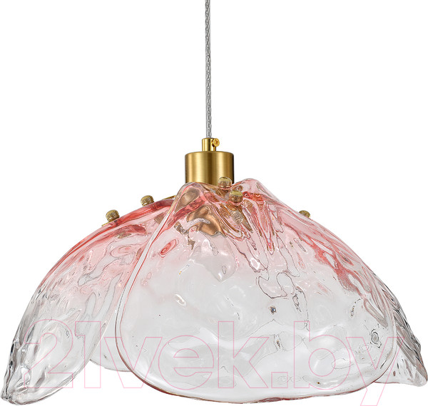 Изображение товара Потолочный светильник Indigo Light Amore V000520