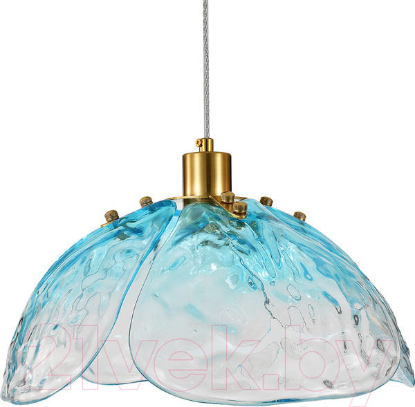 Изображение товара Потолочный светильник Indigo Light Amore V000521