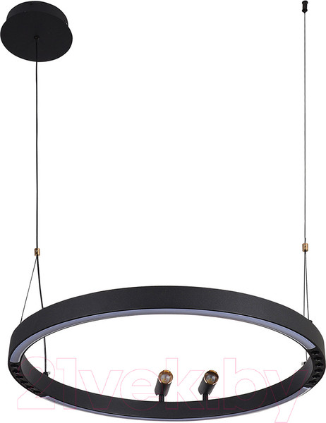 Изображение товара Люстра F-Promo 4474-1P