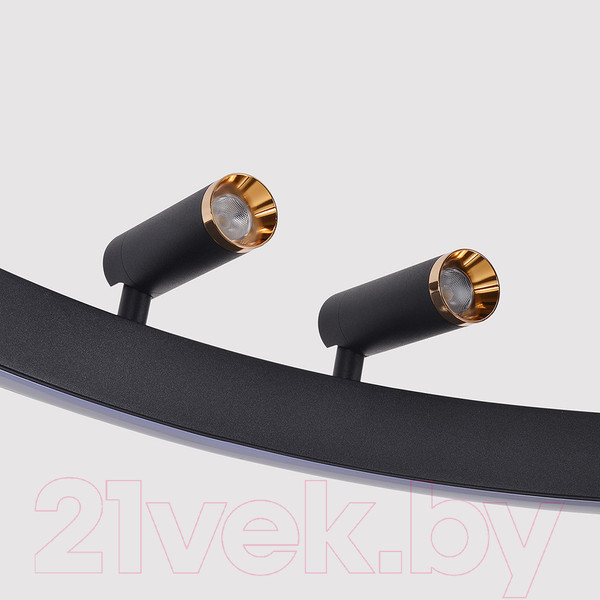 Изображение товара Люстра F-Promo 4474-1P