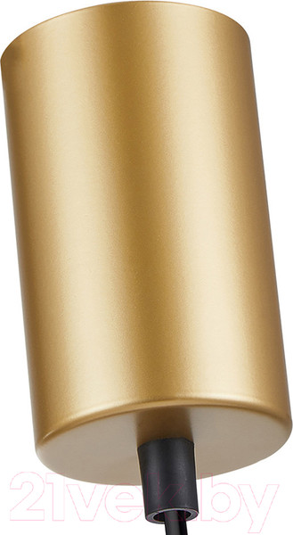 Изображение товара Потолочный светильник F-Promo 4368-1P