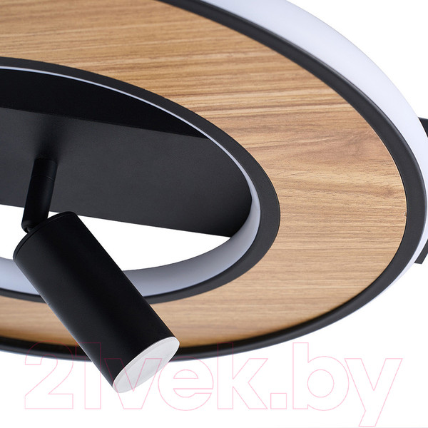 Изображение товара Потолочный светильник F-Promo 4438-2C