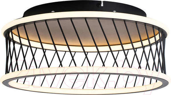 Изображение товара Потолочный светильник F-Promo 4436-2C