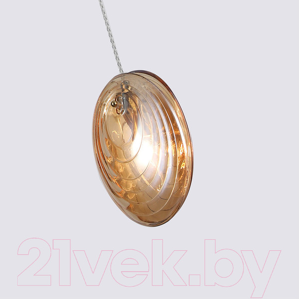 Изображение товара Потолочный светильник F-Promo 4485-1P