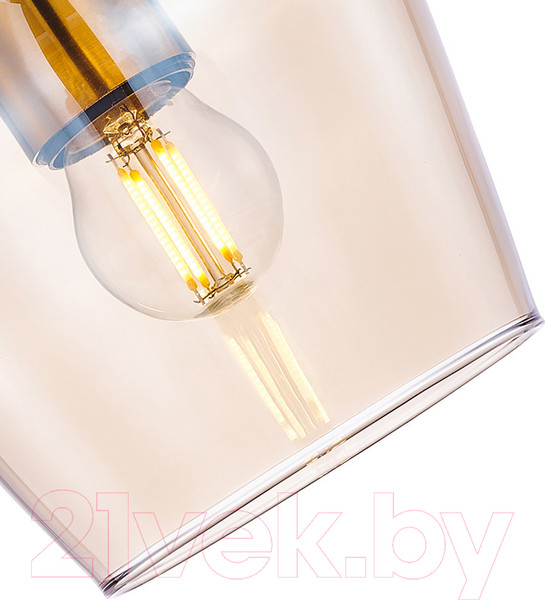 Изображение товара Потолочный светильник F-Promo 4339-1P