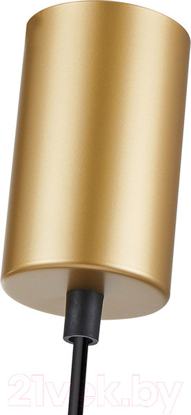 Изображение товара Потолочный светильник F-Promo 4350-1P