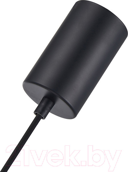 Изображение товара Потолочный светильник F-Promo 4345-1P