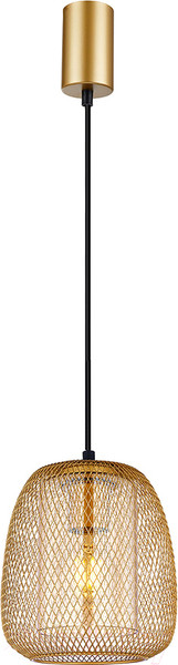 Изображение товара Потолочный светильник F-Promo 4348-1P