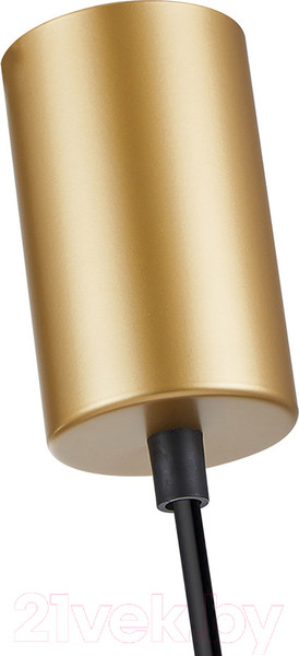 Изображение товара Потолочный светильник F-Promo 4348-1P