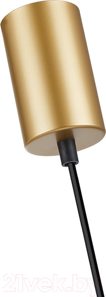 Изображение товара Потолочный светильник F-Promo 4346-1P