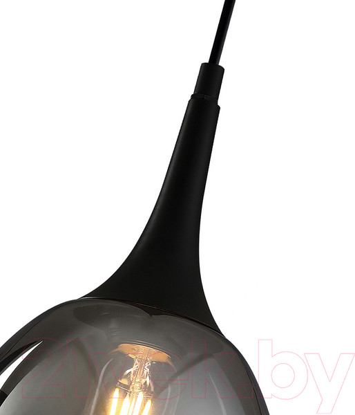 Изображение товара Потолочный светильник F-Promo 4361-1P