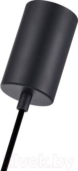 Изображение товара Потолочный светильник F-Promo 4361-1P