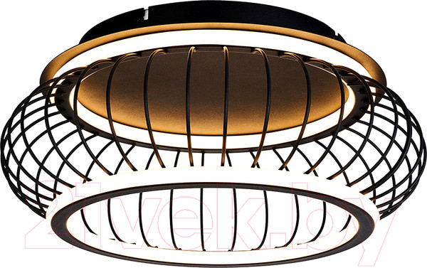 Изображение товара Потолочный светильник F-Promo 4435-2C