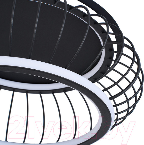 Изображение товара Потолочный светильник F-Promo 4435-2C