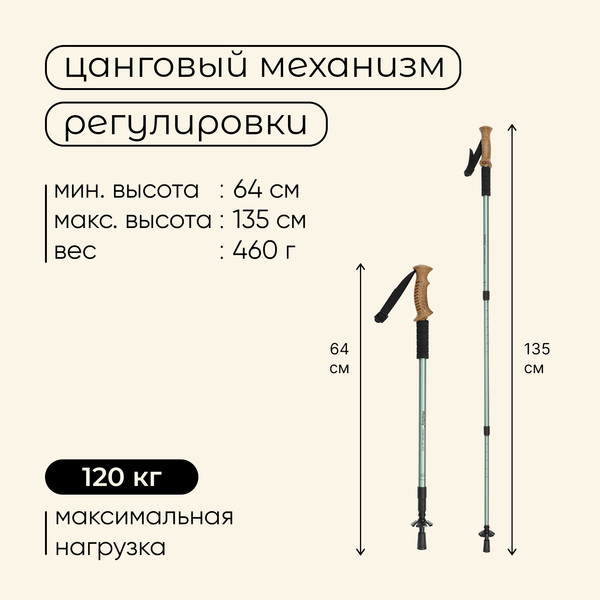 Изображение товара Трекинговая палка Maclay 10349419 (оливковый)