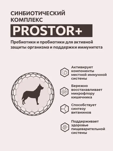Изображение товара Сухой корм для собак Sirius Для собак малых пород с индейкой (2кг)