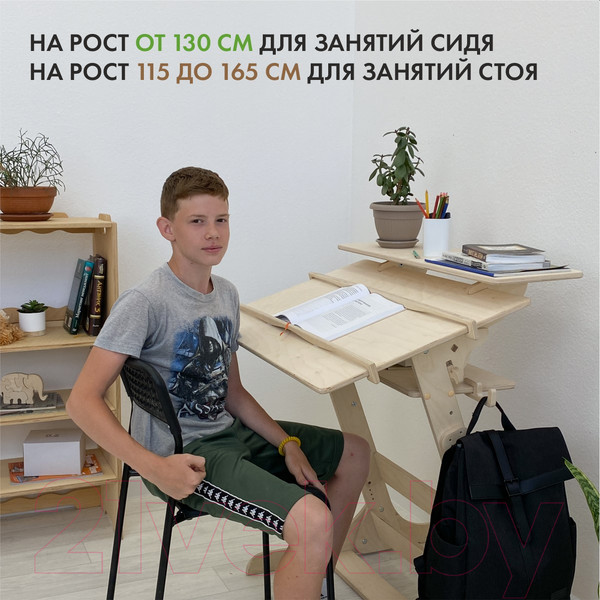 Изображение товара Парта Движение-жизнь Хронос (масло)