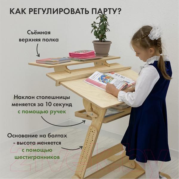 Изображение товара Парта Движение-жизнь Хронос (масло)