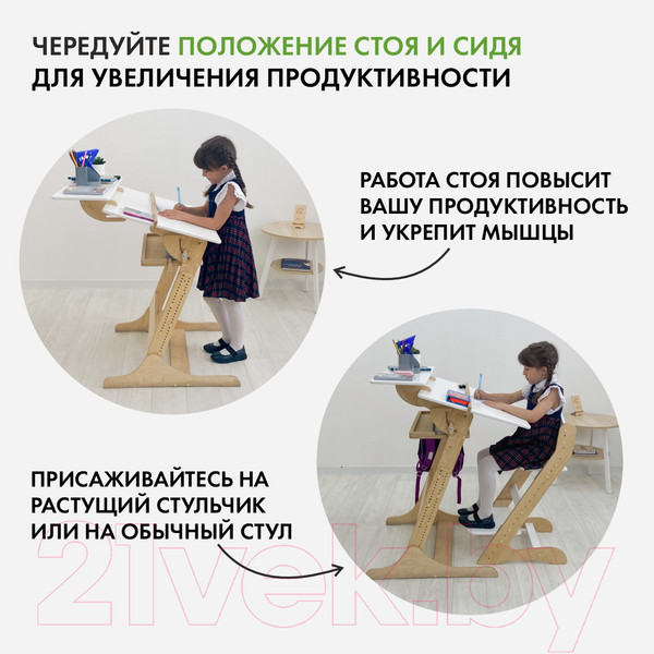 Изображение товара Парта Движение-жизнь Хронос (акрил)