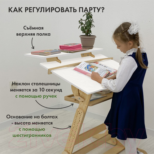 Изображение товара Парта Движение-жизнь Хронос (акрил)