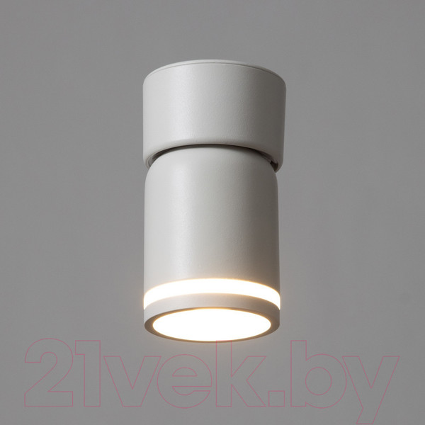 Изображение товара Потолочный светильник BayerLux Босни / 9909630 (белый)