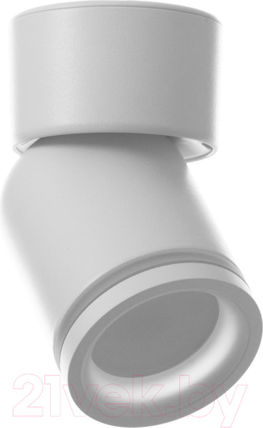 Изображение товара Потолочный светильник BayerLux Босни / 9909630 (белый)