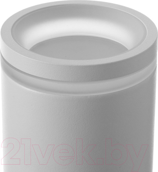 Изображение товара Потолочный светильник BayerLux Босни / 9909630 (белый)