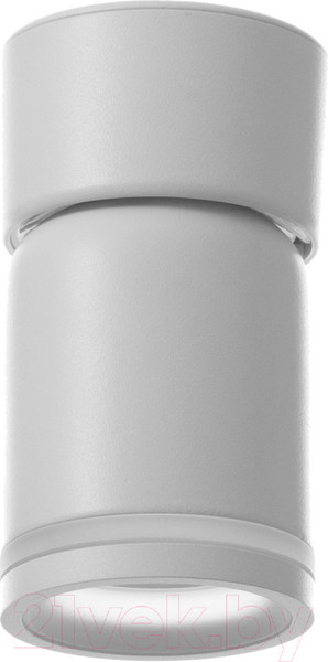 Изображение товара Потолочный светильник BayerLux Босни / 9909630 (белый)