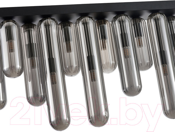 Изображение товара Люстра FAVOURITE 4454-12P