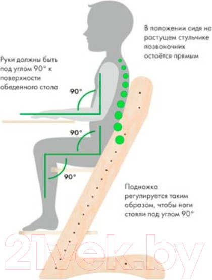 Изображение товара Стул детский Движение-жизнь Компаньон (акрил)