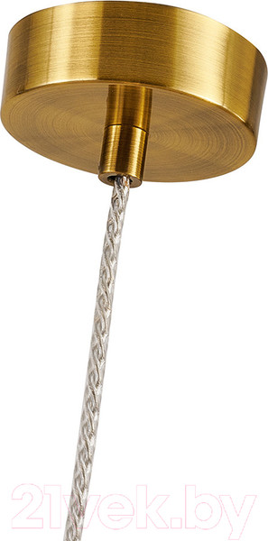 Изображение товара Потолочный светильник FAVOURITE 4455-1P