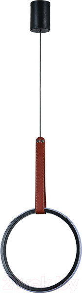 Изображение товара Потолочный светильник ESCADA 10295/1LED (черный)