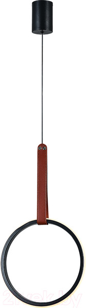 Изображение товара Потолочный светильник ESCADA 10295/1LED (черный)