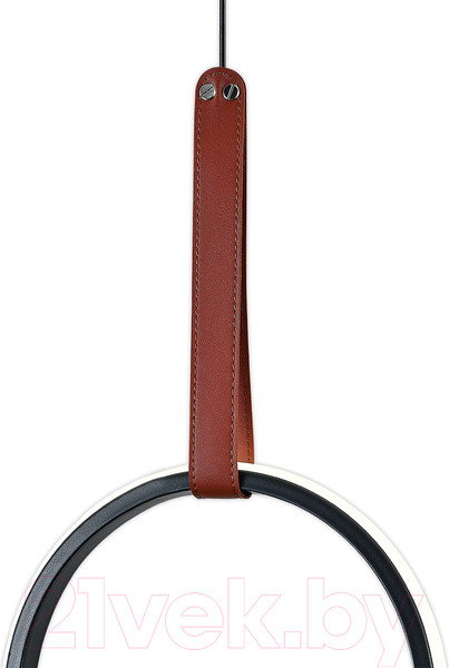 Изображение товара Потолочный светильник ESCADA 10295/1LED (черный)