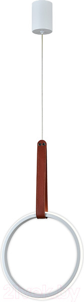 Изображение товара Потолочный светильник ESCADA 10295/1LED (белый)