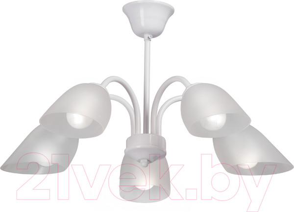 Изображение товара Люстра Vitaluce V33360-0/5PL